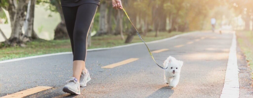 5-Easy-Ways-To-Get-Active